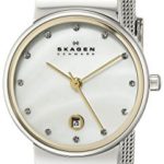 Skagen Silver and Gold Tone Mesh Watch
