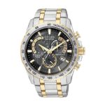 Citizen Men’s Stainless Steel Eco Drive Watch