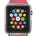 Apple Watch Band 42mm – Pink Grosgrain Pineapple Replacement Strap – No Assembly Required