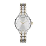 Skagen Women’s Anita Quartz Two-Tone Stainless Steel Casual Watch, Color Silver and Gold-Tone (Model: SKW2321)