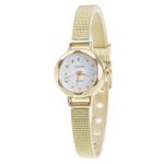 Clearance Sale!Women Analog Quartz Watches,Shinericed Women’s Classic Stainless Steel Mesh Band Wrist Watch