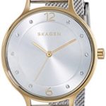 Skagen Women’s Anita Quartz Two-Tone Stainless Steel Mesh Casual Watch, Color: Silver and Gold-Tone (Model: SKW2340)