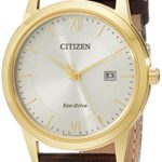 Citizen Men’s Eco-Drive Stainless Steel Watch with Date, AW1232-04A