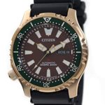 CITIZEN PROMASTER Fugu Special Limited Edition Automatic Diver’s 200m NY0082-17X