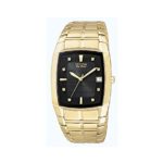 Citizen Men’s Eco-Drive Stainless Goldtone Watch with Black Dial