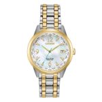 Citizen Women’s Eco-Drive Watch with Stainless Steel Strap, Multicolor, 17 (Model: FC8004-54D)