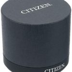 Citizen Fashion Watch (Model: EW2522-51D)
