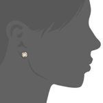 kate spade new york Lady Marmalade Gold-Tone Crystal Stud Earrings