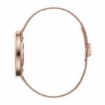 Calvin Klein Women’s Stainless Steel Swiss Quartz Watch with Rose Gold Strap, Pink, 22.5 (Model: K942362A)