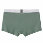 ZONBAILON Men Underwear Boxers with Fly Elastic Briefs for Men Green L