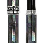 Xezo Maestro Iridescent Natural Black Mother of Pearl Platinum Plated Fine Fountain Pen. No Two Pens Alike