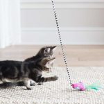 Petmate Fat Cat Catfisher Teasers Cat Toy, Tadpole Wand
