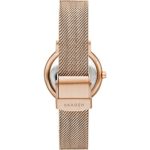 Skagen Women’s Karolina Quartz Watch with Stainless Steel Strap, Gold, 14 (Model: SKW2722)