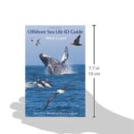 Offshore Sea Life ID Guide: West Coast (Princeton Field Guides, 99)