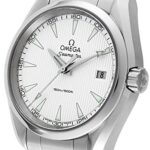 Omega Seamaster Aqua Terra Mens Watch 23110396002001
